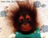 Picture for song 'Smile' by artist 'BBP'