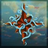 Picture for song 'Manic Tranquility' by artist 'B C (2)'