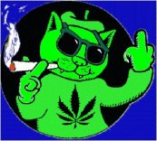 Picture for song 'Funny How featuring XL' by artist 'BeaT JugglaZ'