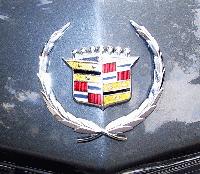 Picture for song 'Gangstafied' by artist 'Beats Bangers and Bump'