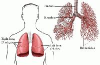 Picture for song 'Bronchitis Beat' by artist 'Beats Made By Jobo'