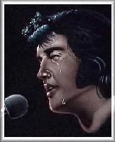 Picture for song 'Elvis on Velvet' by artist 'Beau Long'