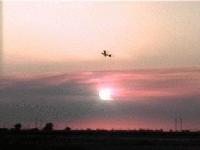 Picture for song 'Altitude' by artist 'Beautiful Alien'