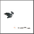 Picture for song 'We've Got Service' by artist 'be careful little hands'