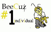 Picture for song 'Introduction' by artist 'BeeCuz Tha Ill N'Dividual'