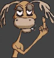 Picture for song 'End Of My Rope (live)' by artist 'Beer For Breakfast'