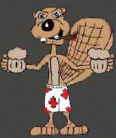 Picture for song 'No Reason To Complain' by artist 'Beer For Breakfast'