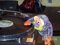 Picture for song 'Response-"PHAT Chase MIx"' by artist 'MassAlfredo'