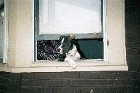 Picture for song 'My Kinda B*tch' by artist 'bEkAy'