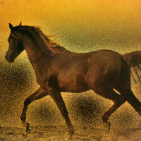 Picture for song 'Dance-march' by artist 'Beliakov Dmitry'