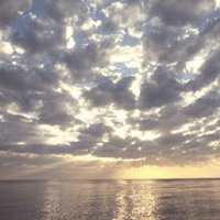 Picture for song 'Light Blue' by artist 'Beliakov Dmitry'