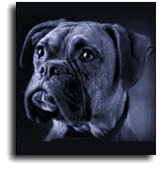 Picture for song 'between art and commerce' by artist 'bengeorge7'