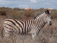 Picture for song 'HALO beat 7' by artist 'bennybeat'