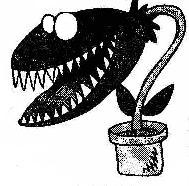 Picture for song 'Lo Lo' by artist 'Benny Beatz'