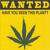 Picture for song 'rdtudrt_8' by artist 'Benny Beatz'