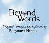 Picture for song 'Wild Life' by artist 'Benyoucef Hebboul'