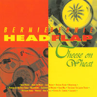 Picture for song 'Xenophobe' by artist 'Bernie Bernie Headflap'