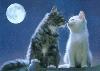 Picture for song 'Improvise-betty040912(§Æ±æ)( Hope)' by artist 'Betty5411'