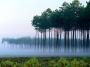 Picture for song 'Improvise-betty041204(¥V«B)(Winter rain)' by artist 'Betty5411'