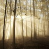 Picture for song 'Improvise-betty050318(¾¤©ú)(daylight)' by artist 'Betty5411'