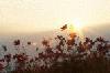 Picture for song 'Improvise-betty041018(´r®®)(Cheery)' by artist 'Betty5411'