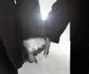 Picture for song 'Improvise-betty050128(²o¤â)(Hand in Hand)' by artist 'Betty5411'