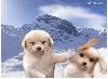 Picture for song 'Improvise-betty050131(ª±A)(Playful)' by artist 'Betty5411'