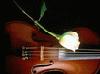 Picture for song '¬Ã±¤¤f¥Õ-vigigi050716' by artist 'Betty5433'