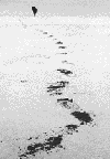 Picture for song '* Walk Wit Me *' by artist 'BGB'