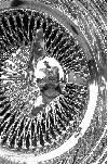 Picture for song 'How We Roll' by artist 'BGB'