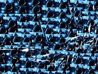 Picture for song 'Shark' by artist 'Bicep'