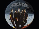 Picture for song 'El Mas Alla' by artist 'BICHOS'