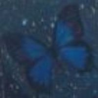 Picture for song 'Missing' by artist 'Big Bang To Supernova'