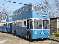 Picture for song 'Ib in the Land of Mnar' by artist 'Big Block 454'