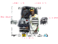 Picture for song 'Down South' by artist 'Big Body AllStars'