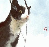 Picture for song 'flying' by artist 'big city orchestra'