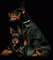 Picture for song 'Where You From?' by artist 'Big Dogg Ent'