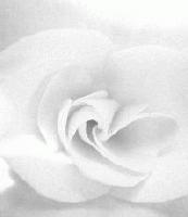 Picture for song 'Alone' by artist 'Big Fella'