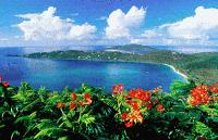 Picture for song 'equatorial bliss' by artist 'Big Fella'