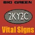 Picture for song 'Vital Signs' by artist 'Big Green'