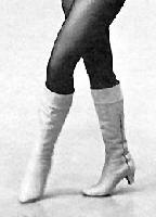 Picture for song 'Nancy Sinatra for a Day' by artist 'Bigkingfun'