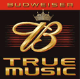 Picture for song 'Budweiser True Music Live (our Radio Spot)' by artist 'Big Sky'