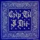 Picture for song 'Crip Walk' by artist 'Big Snipe'