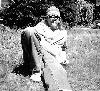 Picture for song 'Merdead' by artist 'BIG WHITE HINEY'