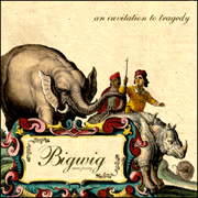 Picture for song 'Blinded' by artist 'bigwig'