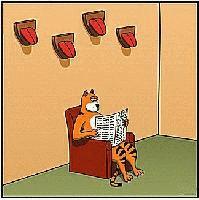 Picture for song 'Cat Got Your Tongue' by artist 'Bill Cannon'