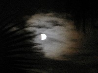 Picture for song 'Flesh and Blood' by artist 'Bill Cannon'