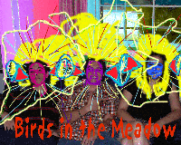 Picture for song 'snuggled up in the back' by artist 'Birds in the Meadow'