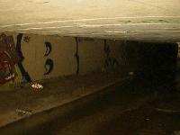 Picture for song 'The Panel' by artist 'Bixton'