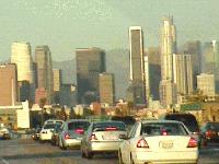 Picture for song 'Land of the free?' by artist 'Black and Brown Movement'